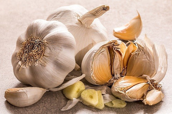 Can Garlic Help Fight COVID?