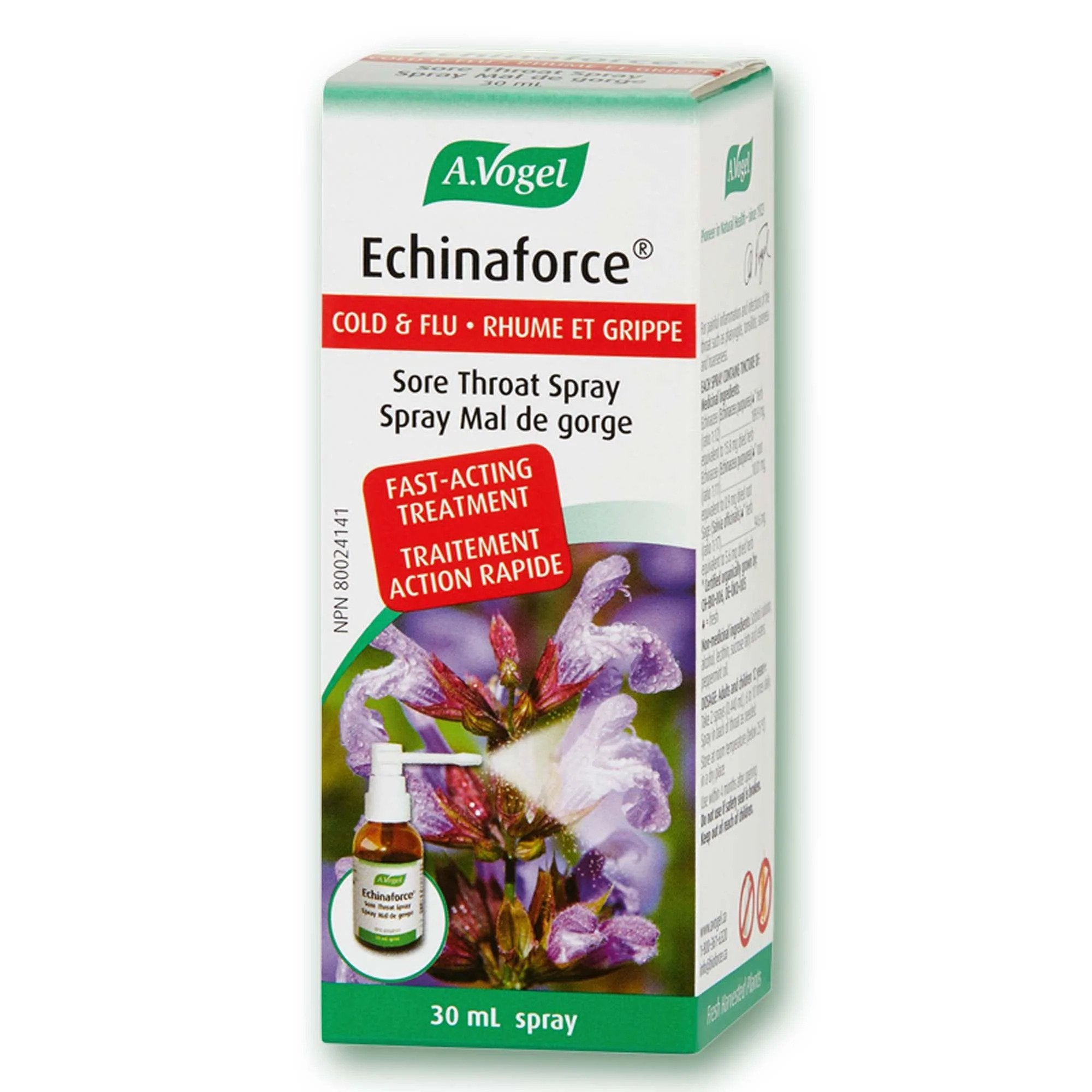 ECHINAFORCE SORE THROAT SPRAY 30ML