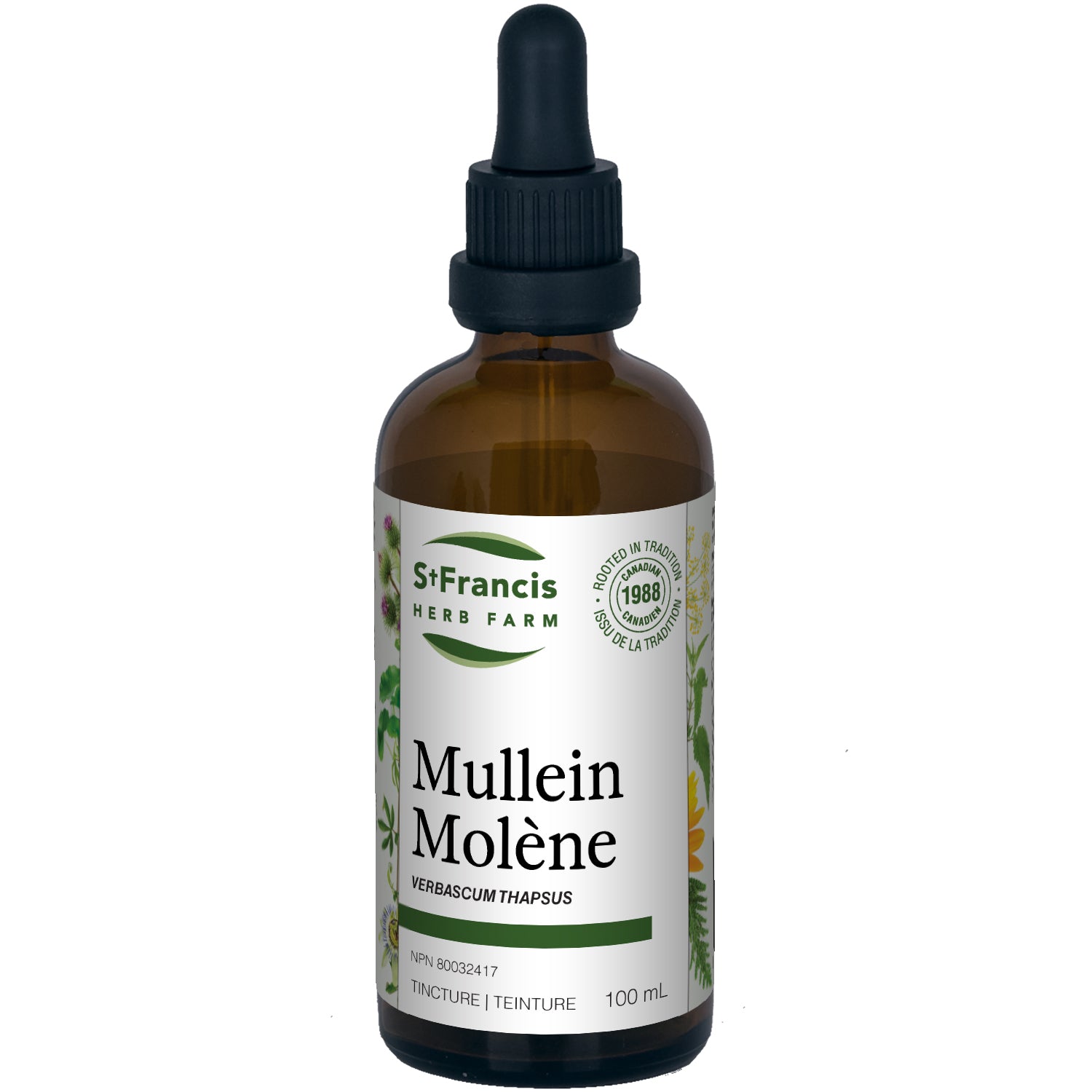 MULLEIN 100ML