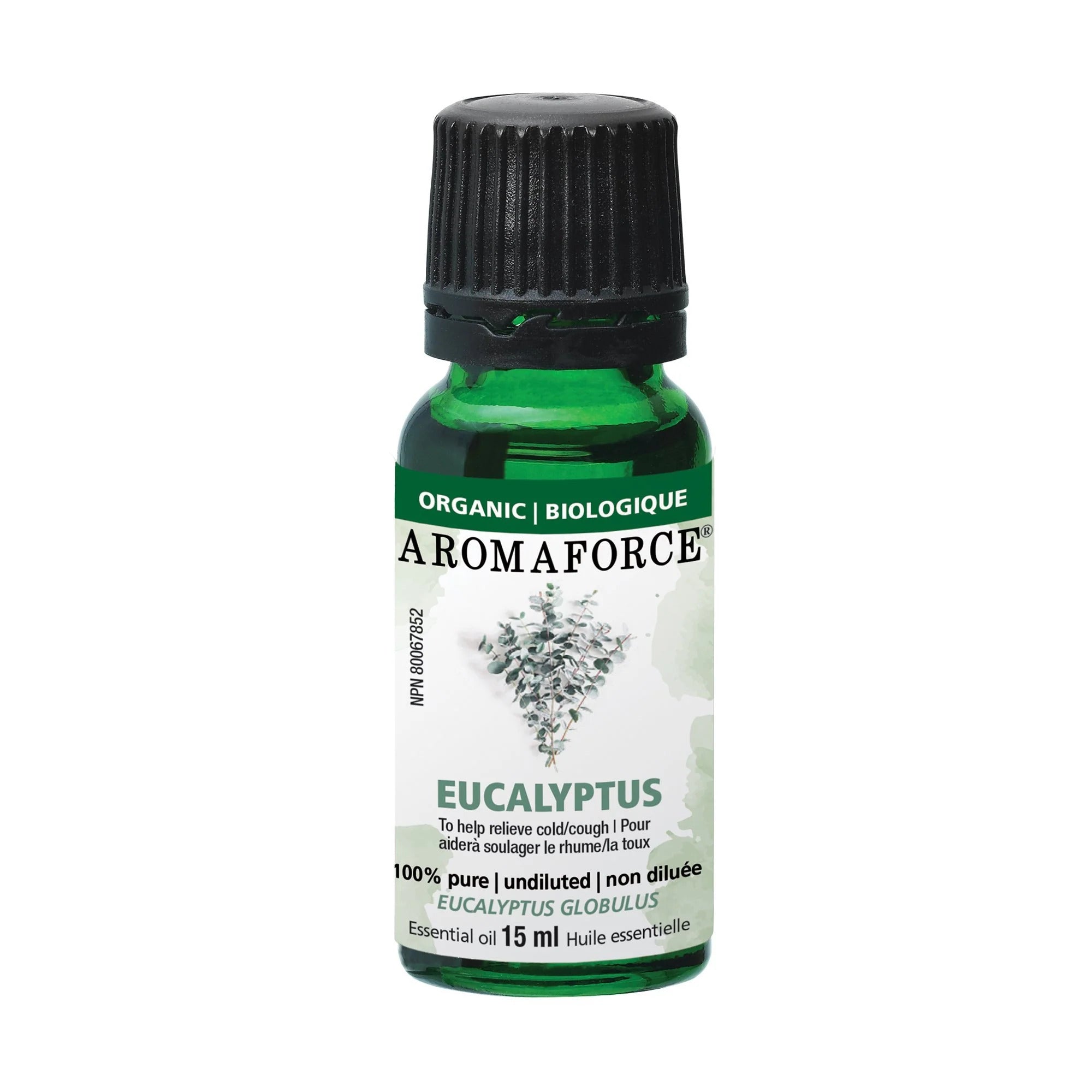 EUCALYPTUS OIL 15ML