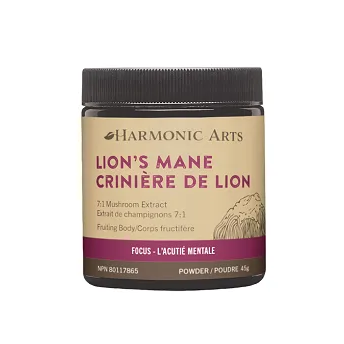 LION'S MANE CONCENTRATED MUSHROOM POWDER 45G