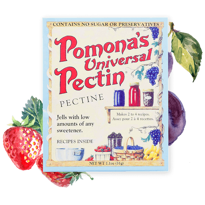 UNIVERSAL PECTIN 31G