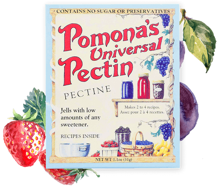 UNIVERSAL PECTIN 31G