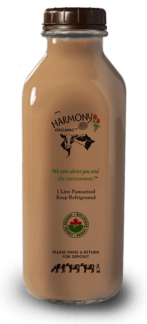 ORGANIC CHOCOLATE MILK (GLASS) 1L