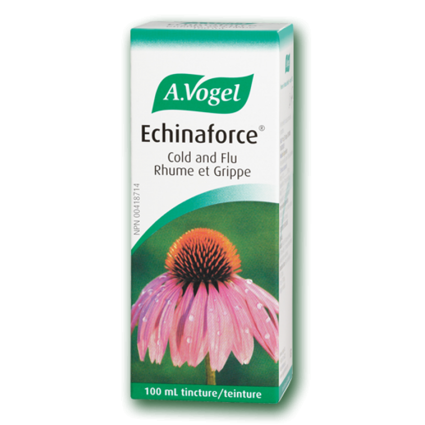 ECHINAFORCE 100ML
