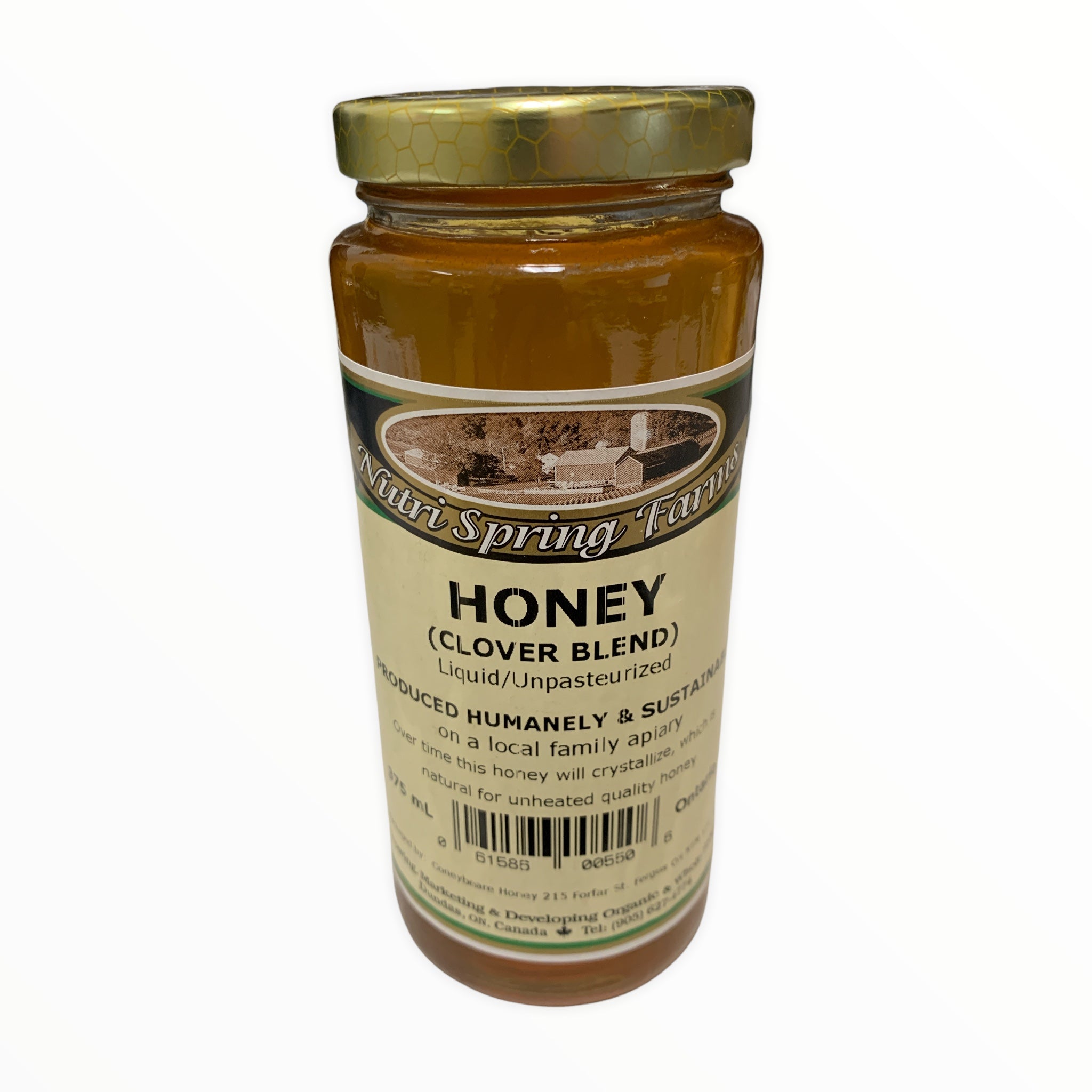 RAW LIQUID HONEY 375G