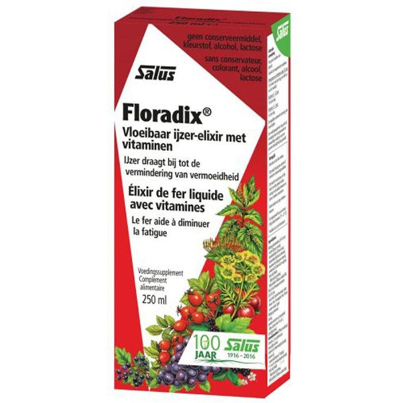 FLORADIX LIQUID IRON 250ML