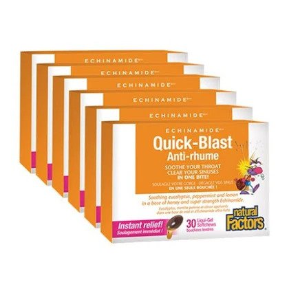 ECHINAMIDE QUICK BLAST 6-PACK