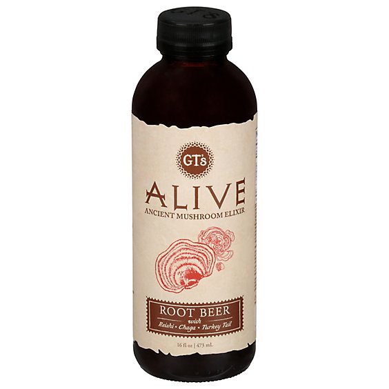 ROOT BEER KOMBUCHA  480ML