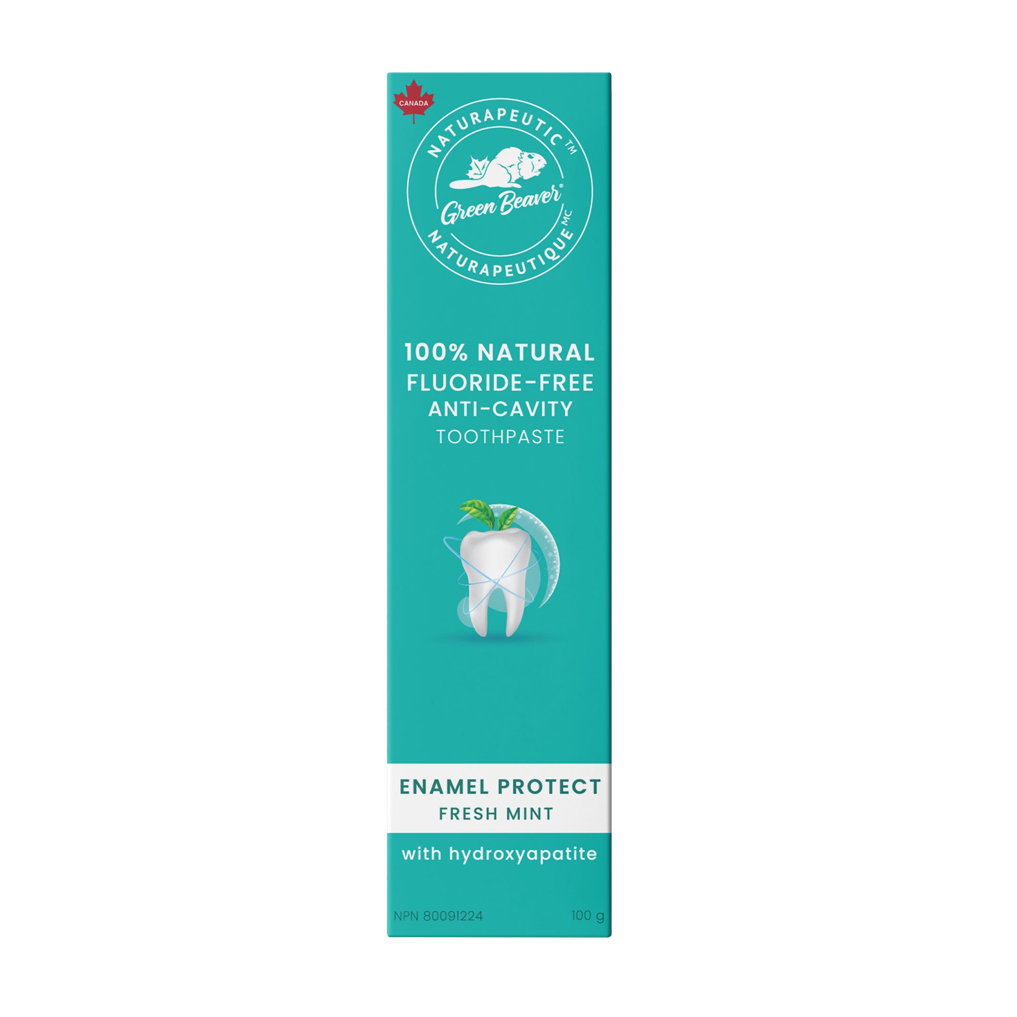 ENAMEL PROTECT TOOTHPASTE FRESH MINT 100G