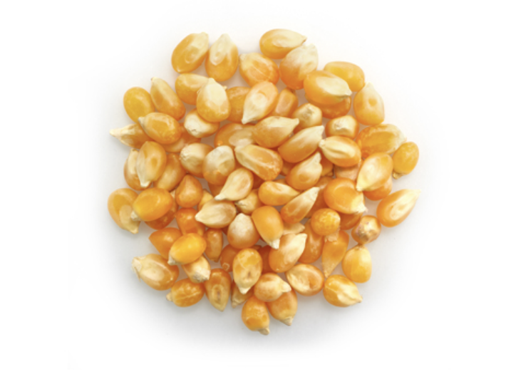 BULK ORGANIC POPPING CORN per 100g
