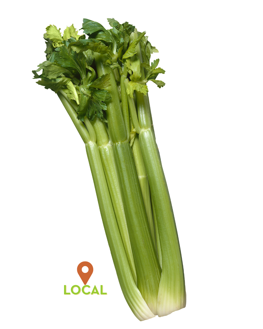 LOCAL CELERY