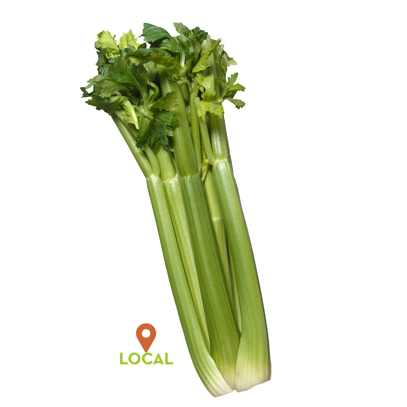 LOCAL CELERY