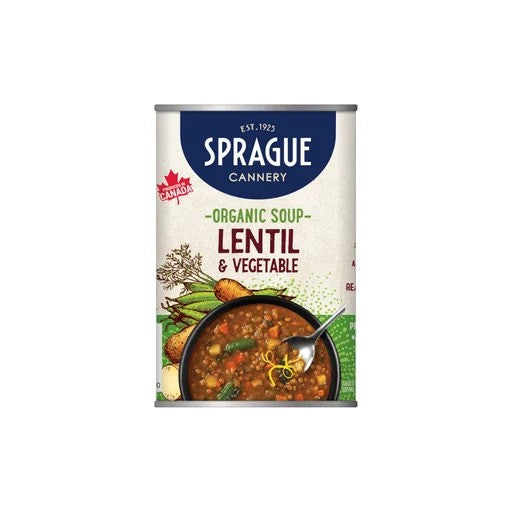 LENTIL & VEGETABLE ORGANIC SOUP