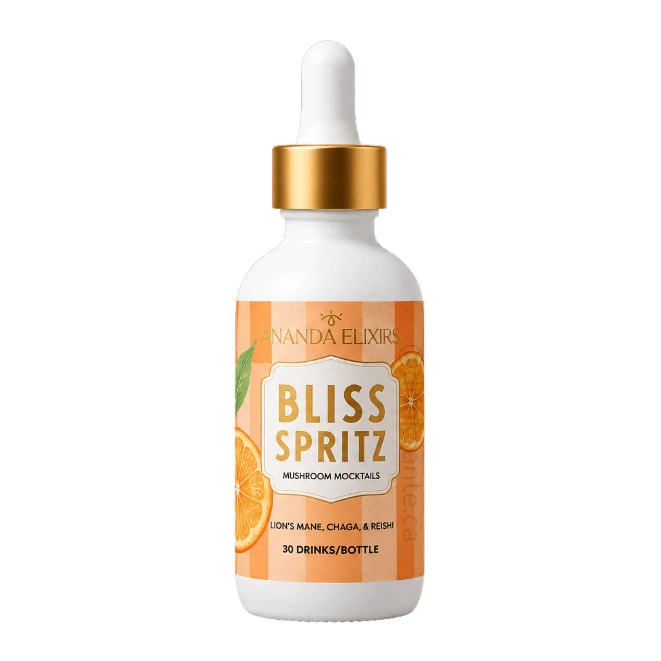 MUSHROOM MOCKTAIL BLISS 30 SERVINGS
