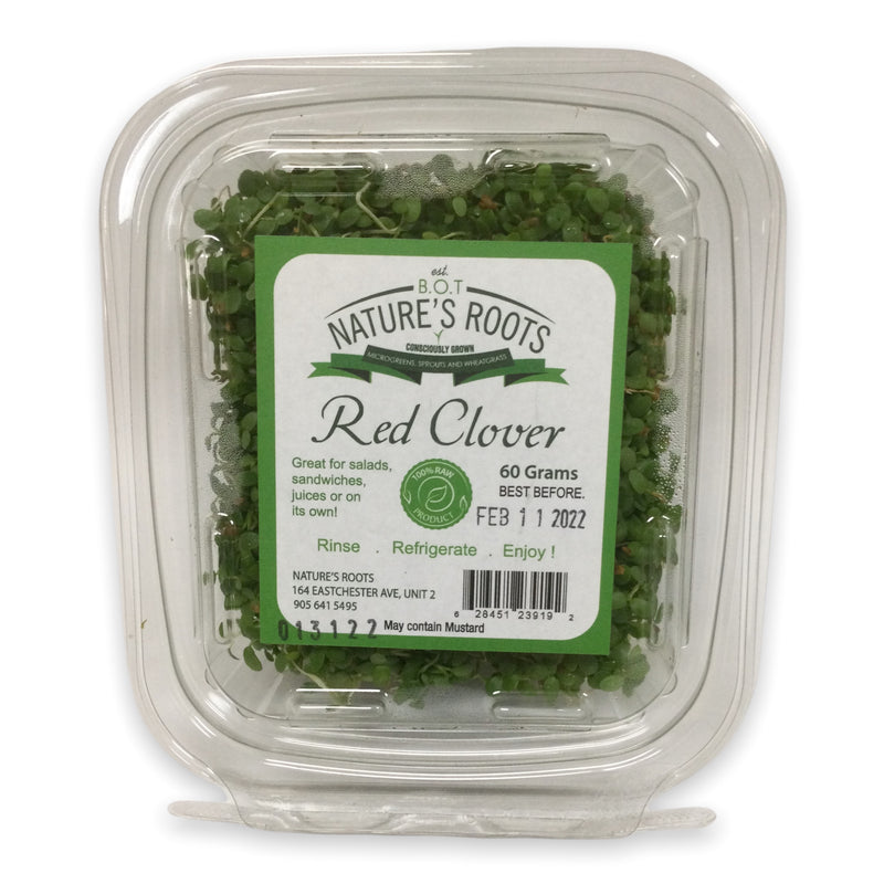 RED CLOVER SPROUTS 60G